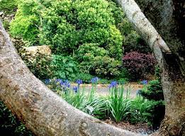 Seaview Farm - Garden Image