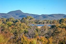 Winnifred Curtis Reserve